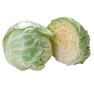 Repollo Verde de Primera Calidad, Venta al Por Mayor, Marca CREKS, Caja de Cartón de 10 kg, Grado Alimenticio, Delicioso, Europeo - Product Image 1