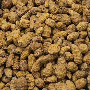 Noix de Chufa Biologiques Séchées Premium en Gros – Fourniture en Vrac de Noix de Chufa Naturelles pour Snacks, Lait et Farine – Qualité Supérieure, Durée de Conservation 24 Mois - Product Image 1