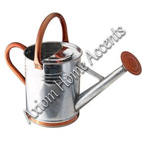 Axiom Home Accents Chic White Diseño minimalista Cuidado de plantas de interior Regadera Metal moderno/acero - Product Image 5