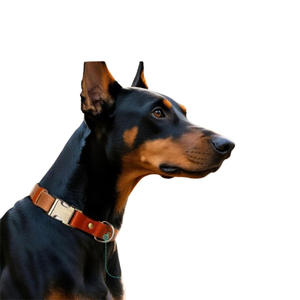 ปลอกคอสุนัขหนังแท้คุณภาพสูง ปรับได้ แห้งเร็ว ทนทาน บุนุ่ม - Product Image 6