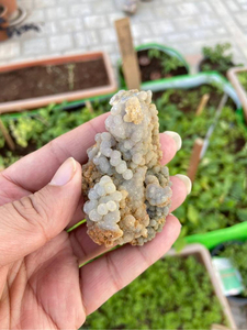 Natural Grape Agate <b>Crystal</b> | Purple Botryoidal Chalcedony Mineral Specimen | Collector Display Stone - Product Image 3