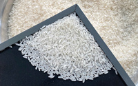 High Quality Organic Dried Jasmine Rice Vietnam Origin Long Grain White Fragrant New Crop 2026 Soft Delicious Taste ISO HACCP