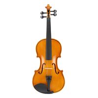 Full Size 4/4 Violin Set Adults Beginners Students Hard Case Bow Shoulder Rest Extra Strings Sordine Model D0100HPMH0W