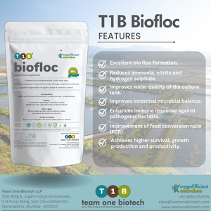 Biofloc-Supplément probiotique pour la prévention des maladies des crevettes élevées - Product Image 2
