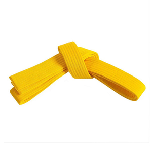 Proveedor Mayorista de Cinturones de Artes Marciales para Karate, Judo y Taekwondo, con Logotipo Personalizado y Soporte para Pedidos al por Mayor - Product Image 2