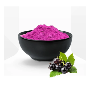 Poudre de Jamun lyophilisée SHUBHALAXMII FOOD INDUSTRY, goût sucré, saine, durée de conservation de 2 ans, emballage en vrac - Product Image 1