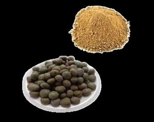Pongamia Glabra Poudre d'extrait de plantes riche en vitamine Vitamine Ingrédient actif Produit d'extrait de plantes - Product Image 2