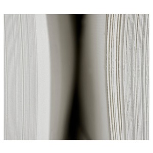 Pâte Kraft de bois dur blanchie de qualité supérieure à vendre pour les acheteurs de l'industrie papetière, les convertisseurs et les fournisseurs mondiaux - Product Image 2