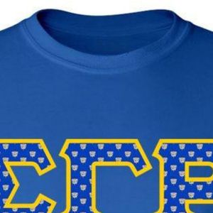 T-shirt à manches longues en sergé bleu avec écusson Sigma Gamma Rho et lettres, col rond, pour femme, sororité grecque, vêtement de campus personnalisé - Product Image 5