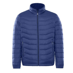 Veste d'hiver pour homme, manteau chaud en duvet, col montant, coupe ample, veste matelassée à fermeture éclair, couleur unie, style streetwear, veste à séchage rapide - Product Image 2