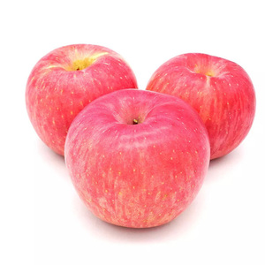 Pommes rouges Fuji fraîches, fruits de pomme sucrés et délicieux, disponibles en gros à prix de gros - Product Image 2