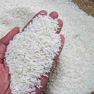 ข้าวใหม่ปี 2026 คุณภาพสูง ข้าวเหนียวเมล็ดยาวสีขาวจากเวียดนาม อบแห้ง นุ่ม กระบวนการผลิตแบบวิลลาโคนิค มิลเลอร์ - Product Image 2