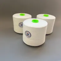 Hilo de Poliéster de Fibra Corta para Coser, Bordar, Impermeable, Resistente a Químicos, para Prendas, Zapatos, Bolsos y Textiles para el Hogar