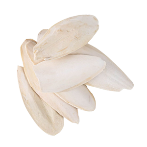 Os de Seiche Naturel Bleu Lotus, Pur et Coupé, Riche en Calcium, Vitamines et Minéraux – Supplément Essentiel pour Oiseaux et Reptiles – Vente Flash - Product Image 1