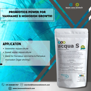 Formulación de probióticos para estanque de camarones para un crecimiento más rápido - Product Image 5