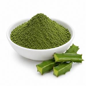 Fabricant professionnel d'extraits végétaux, poudre d'extrait de Cissus Quadrangularis, ingrédient premium pour les compléments alimentaires pour la santé des os, OEM - Product Image 1