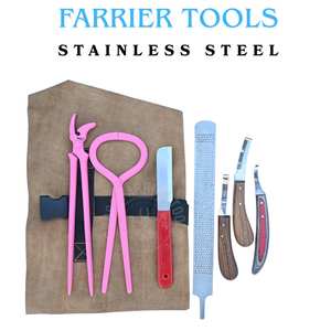 Kit de herramientas de herrador: Cuchillos para pezuñas, cuchillo para topear, herramienta para abscesos, herramienta de punta estrecha, herramienta de punta curva, probador de pezuñas, lima de pezuñas de madera - Product Image 4