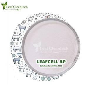 Enzyme cellulase pour l'alimentation animale-Amélioration de la digestion et de l'efficacité de l'alimentation en provenance d'Inde | Enzymes d'alimentation | Enzymes d'alimentation animale | - Product Image 1