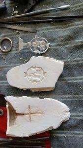 Os de Seiche Séché de Haute Qualité, Source Naturelle de Calcium pour Oiseaux de Compagnie - Product Image 5