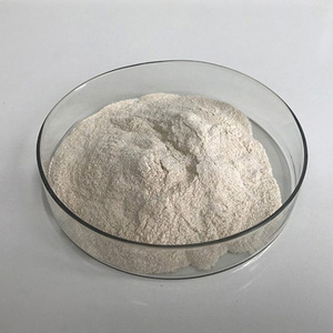 Enzyme protéase alcaline de qualité alimentaire avancée pour une meilleure digestion des protéines et l'amélioration de la qualité des aliments - Product Image 1