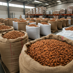 Amandes séchées 100% pures en vrac pour l'exportation, destinées aux boulangeries, aux acheteurs de snacks et aux commerçants d'ingrédients alimentaires sains - Product Image 6
