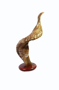 Corne de mouton véritable de haute qualité, écologique, marque FAIZA CRAFT, design personnalisable, achat direct, grossiste Uttar Pradesh, livraison à domicile - Product Image 3