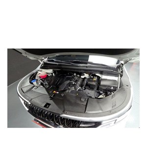 Para Kia Carnival Prestige de 9 Plazas, Gasolina, Modelo Junio 2023, 30.188 km, Volante a la Izquierda, Caja de Cambios Automática, Emisión Euro V - Product Image 6