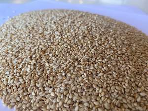 New Crop Natural White Sesame <b>Seeds</b> at Low Price With <b>Packing</b> in Strong Bag White Sesame <b>Seed</b> - Product Image 3