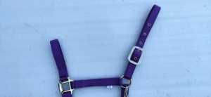 สายจูงม้าแบบคลาสสิกน้ำหนักเบา ทำจากโพลีโพรพิลีน บุด้วยผ้าหนังนูบัค ปรับแต่งได้ พร้อมฮาร์ดแวร์ทองเหลืองและสังกะสี มีหลายขนาด - Product Image 3