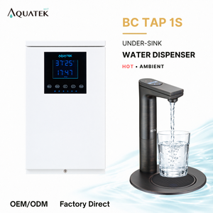Distributeur d'eau sous évier AQUATEK BC TAP 1S, eau chaude et tempérée, pour usage domestique, robinet électrique en acier inoxydable 304 / corps en acier inoxydable 430 - Product Image 1