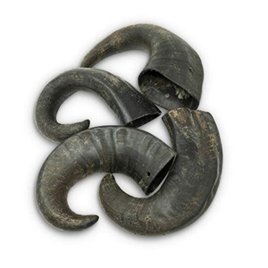 Friandise à mâcher pour chiens et chats en corne de buffle 100% naturelle d'Inde, longue durée, sans céréales, séchée, crue, pour le nettoyage des dents - Product Image 3