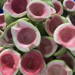 ราคาโรงงาน ก้อนฝรั่งสีชมพูแช่แข็ง IQF ขนาด 10x10 มม. เกรดพรีเมียม เวียดนาม ส่งออกจำนวนมาก - คุณทารินา - Product Image 3