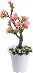 Maceta de jacinto de agua - Product Image 3