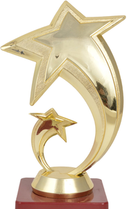 Trophée étoile avec base en bois – Trophée personnalisé pour événements sportifs, scolaires, d'entreprise, cérémonies de récompenses et d'hommages - Product Image 6