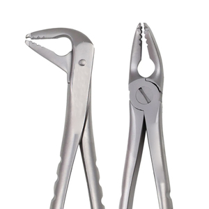 Ensemble de forceps d'extraction dentaire 10 pièces en acier inoxydable, instruments chirurgicaux orthodontiques manuels, classe I, argent - Product Image 1