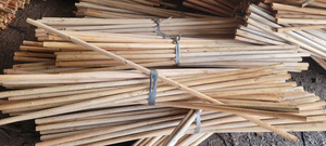 GMEX JSC. BR-GM05 Juego de Mopa y Escoba de Madera 100% Natural, Mango Largo de 127 cm, Herramientas de Limpieza de Pisos Multiusos, Duraderas y Ecológicas - Product Image 2
