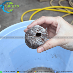 Producto estrella: pellets de fibra de coco al 95% con bajo valor de EC para el acondicionamiento del suelo y el desarrollo robusto de las raíces de las plantas en tamaño de 4 cm. - Product Image 6