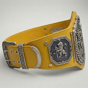 Cinturón de Campeonato de Boxeo, Material de Alta Calidad, Construcción Detallada, Apariencia Elegante, Perfecto para Reconocimiento y Logro - Product Image 4