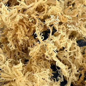 Eucheuma Cottonii Seca de Vietnam - Materia Prima de Carragenano |   Marca Kim Minh - Product Image 5