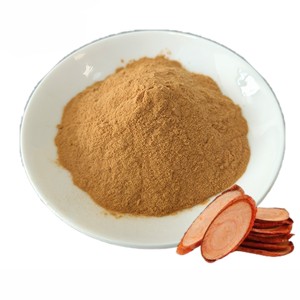 Extrait Premium d'Eurycoma Longifolia 10:1, 100% Pur et Naturel, Poudre d'Extrait de Racine de Tongkat Ali pour le Soutien Quotidien de l'Énergie et de l'Endurance - Product Image 1