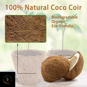Macetas Biodegradables de Fibra Vegetal para Plántulas y Germinación de Hierbas, Amplia Aplicación - Product Image 2
