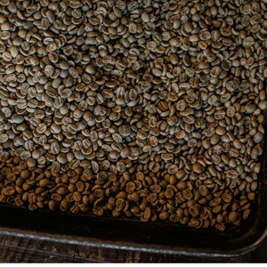 Café Arábica verde vietnamita de alta calidad, buen precio para el estándar de exportación - Product Image 3