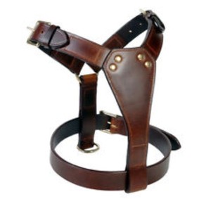 Arnés de cuero pequeño con hebilla para perro, ajustable, sólido y cómodo, con correa tipo chaleco y remaches metálicos decorativos para entrenamiento y paseo. - Product Image 1