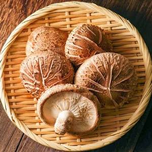Hongos Shiitake Secos de Marca Privada OEM, Empaque Personalizado Disponible - Product Image 6