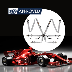 เข็มขัดนิรภัยสำหรับรถแข่ง TBRACING Sport Plus ได้รับการรับรองจาก FIA รองรับ OEM ODM ขายส่ง พร้อมตัวปรับเหล็กอย่างดี - Product Image 2