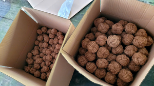 Bolas de Fibra de Coco Hechas a Mano para Gatos – Solución Ecológica para Mascotas - Product Image 5