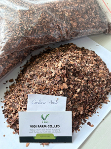 Coque de noix de cajou naturelle de qualité supérieure pour le marché international, vente en gros en vrac, exportation par conteneur, prix de gros - Product Image 2