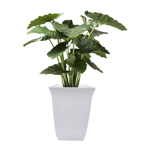 Cylindrical Plastic Gardening Plant <b>Pot</b> Strong Durable Lightweight Easy to Clean Suitable <b>for</b> <b>Herbs</b> Flowers and Indoor Plants - Product Image 1