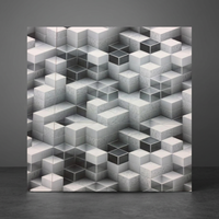 Superbe qualité 300x600mm 30x60cm 12x24in Digital Glazed Stone Design Céramique Revêtement mural extérieur Carreaux d'élévation