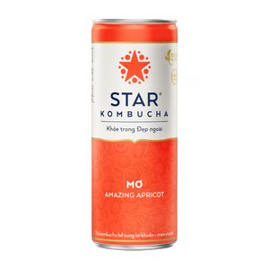 Bebida de Kombucha de Albaricoque en Venta, 250 ml, Marca Star Kombucha, Bebida de Té Fermentado, Precio Competitivo, Exportación al por Mayor - Product Image 1